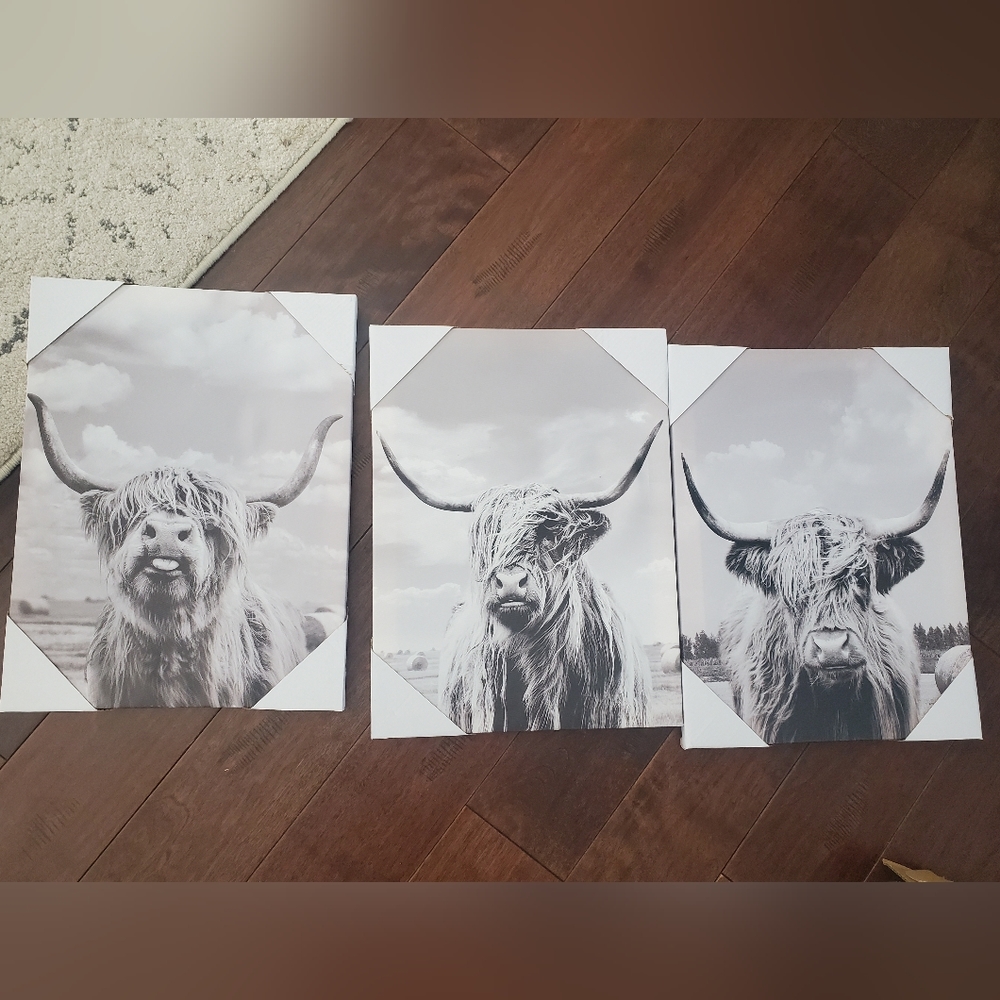 3 piece art work new never used super cute
